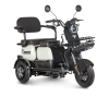 Электротрицикл Rutrike Вега черный