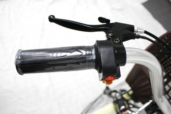 Электровелосипед GreenCamel Трайк-24 (R24 500W 48V 15Ah) красный